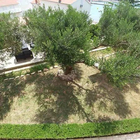 Apartament Dora