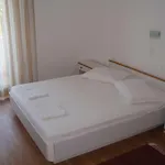 Dora Banjol